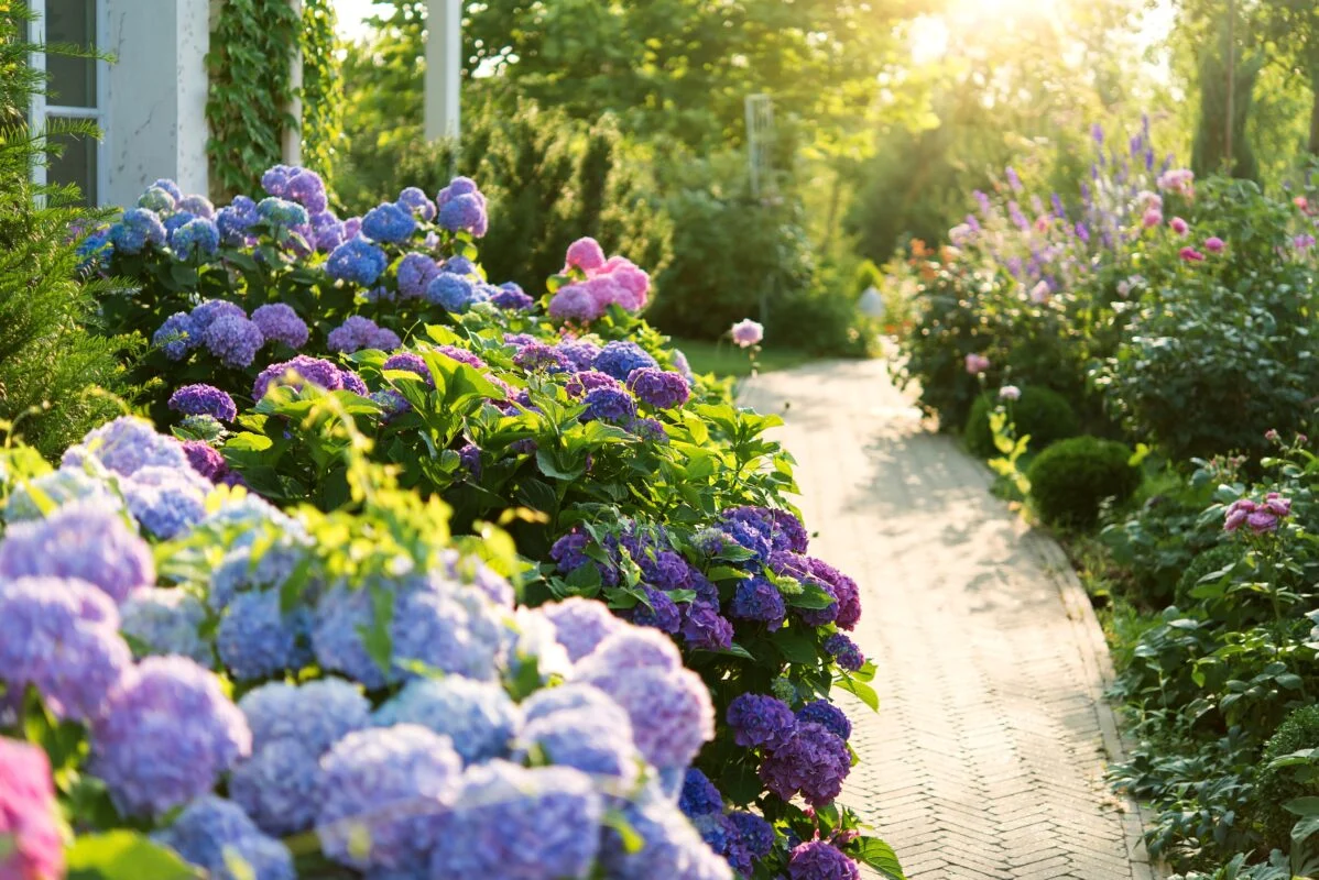 Fresh Perspectives from a Modern Landscape Design Blog